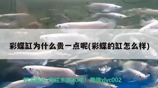 蘭州城關(guān)區(qū)雁灘花魚市場于長江水族店
