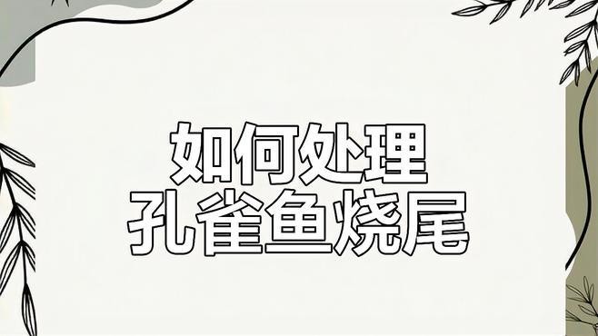 龍魚燒尾后應該如何治療？