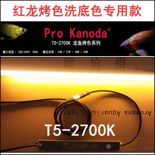 推薦幾款適合紅龍的2700K燈
