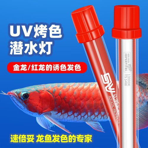 推薦幾款適合紅龍的2700K燈