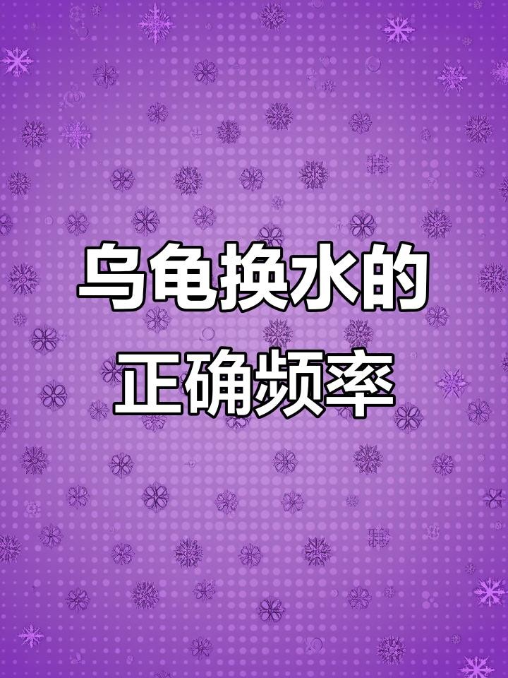 龍龜和魚缸擺放需要多久換一次水？