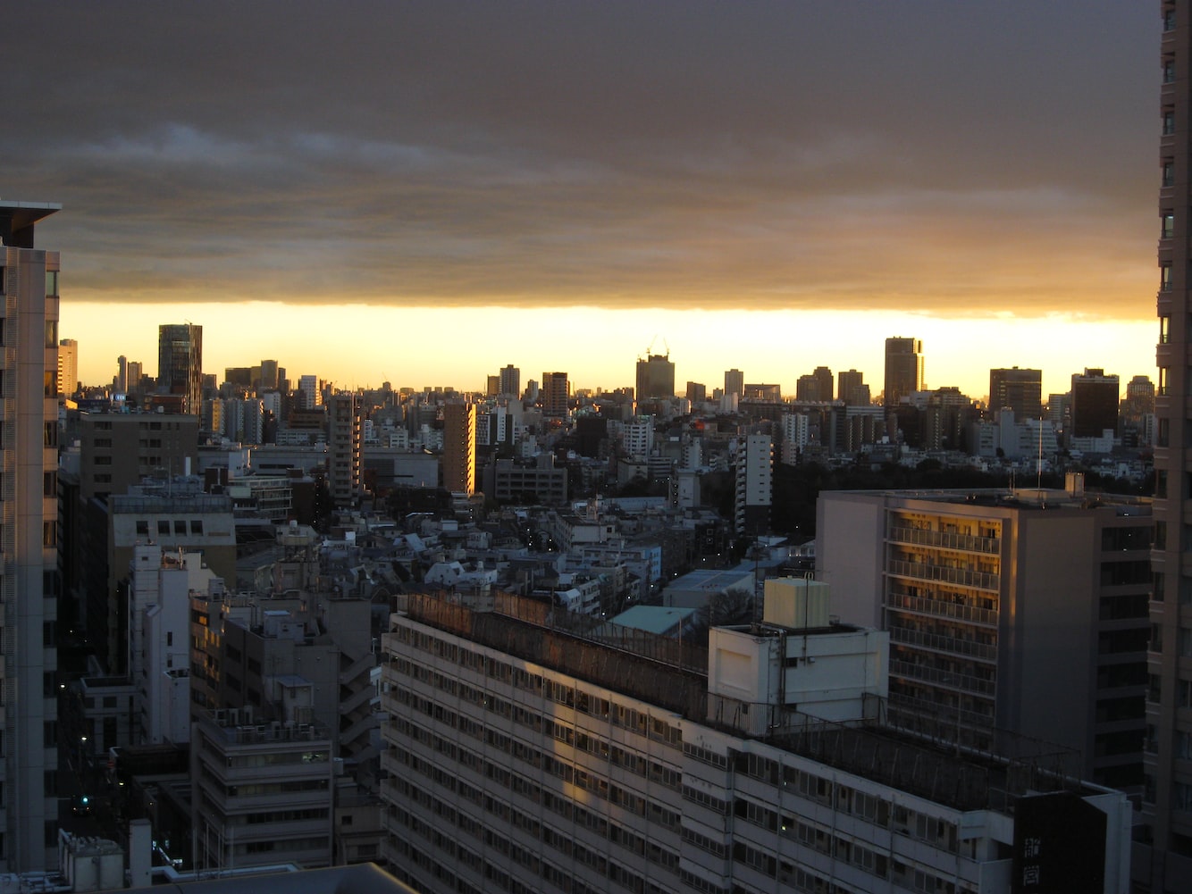 沈陽市于洪區水之魂水族生活中心