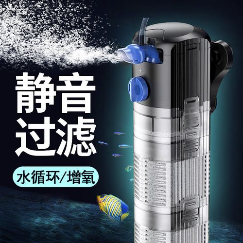 60公分銀龍魚需要什么樣的過濾系統？