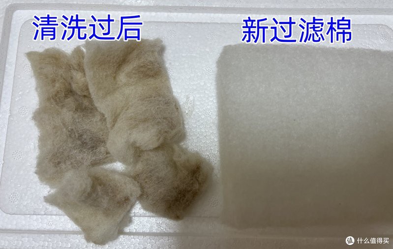 60公分銀龍魚需要什么樣的過濾系統？