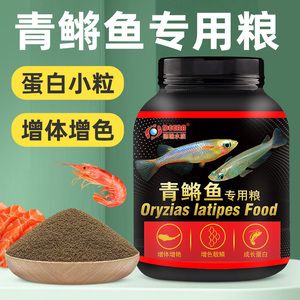 不同品牌青龍魚飼料價格：不同品牌青龍魚飼料價格信息