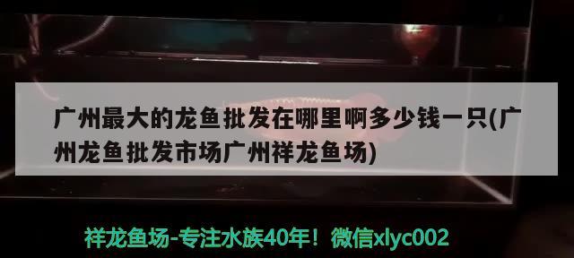 蚌埠魚缸定做店電話多少號（蚌埠魚缸定做店電話多少號碼）