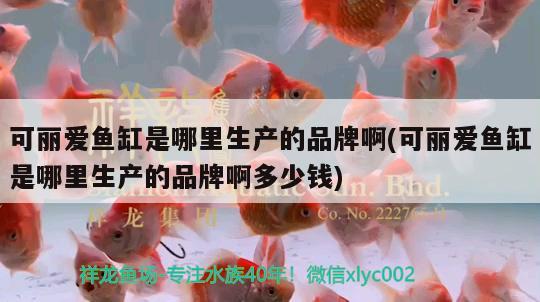 神木觀賞魚店電話多少（神木哪里有賣寵物狗的）