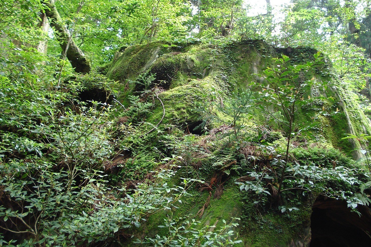 萊蕪市鋼城區歐亞生態農業園（萊蕪市鋼城區歐亞生態農業園地址）