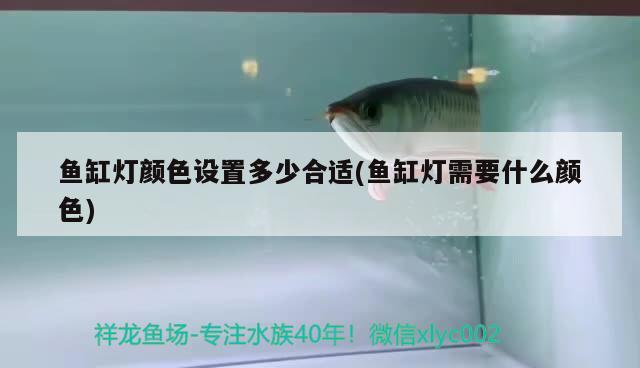 魚缸燈顏色設(shè)置多少合適(魚缸燈需要什么顏色)