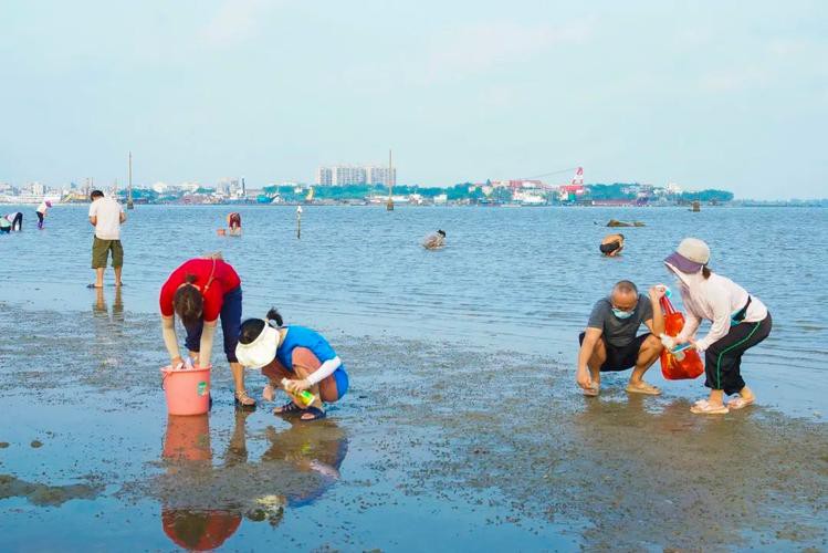 海口哪里養殖龍魚好吃又便宜