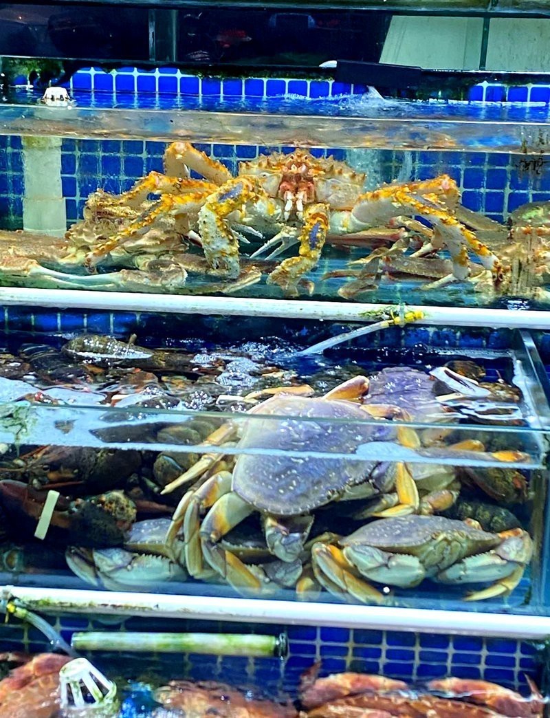 ?？谀睦镳B殖龍魚好吃又便宜