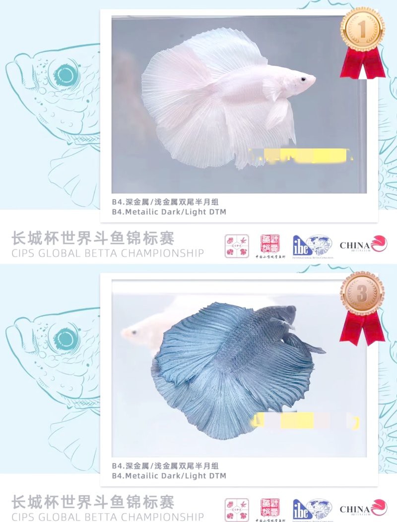 帶證書芯片的賽級魚有何不同？