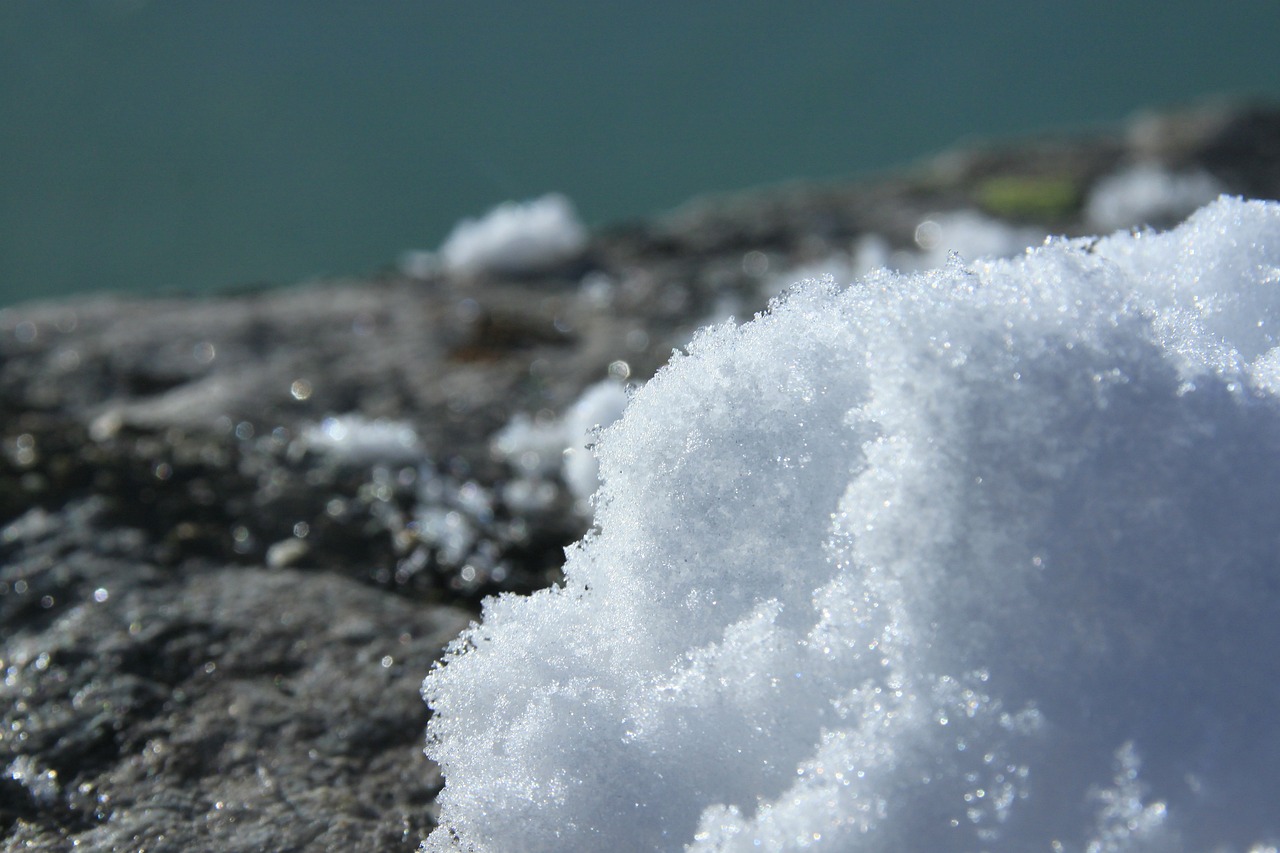 臨淄區(qū)雪宮會強(qiáng)水族館（臨淄雪宮好玩）
