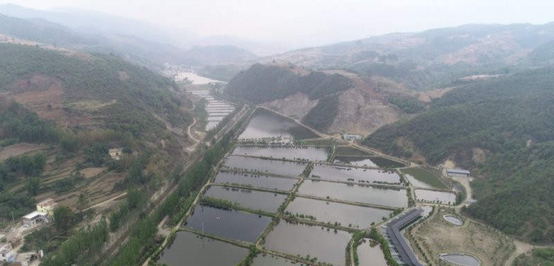 茂灣水產是否嘗試過巴卡雷龍繁殖？