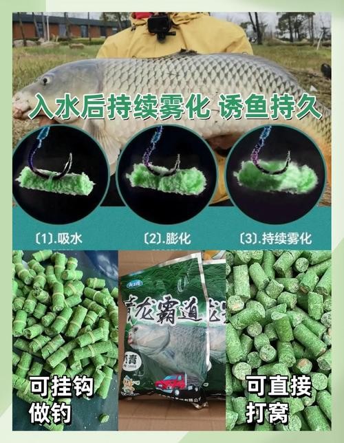 龍魚吃魚糧嗎會死嗎圖片