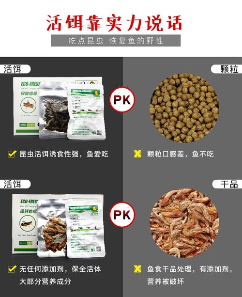 龍魚吃魚糧嗎會死嗎圖片