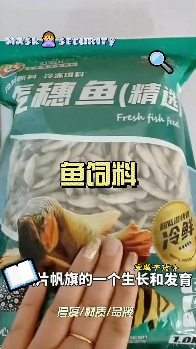 龍魚吃魚糧嗎會死嗎圖片