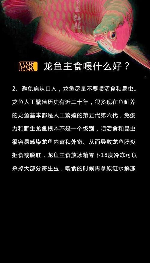 龍魚吃魚糧嗎會死嗎圖片
