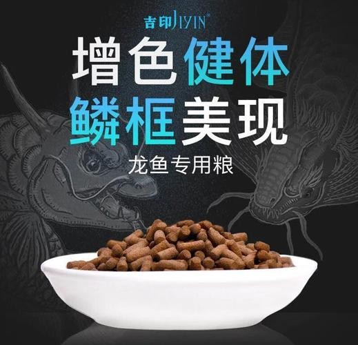 龍魚吃魚糧嗎會死嗎圖片