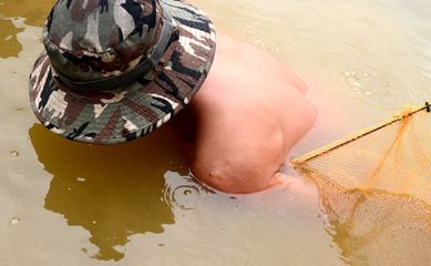 金龍魚的孵化受精卵采用什么孵化方式：金龍魚孵化受精卵采用什么孵化方式金龍魚孵化受精卵