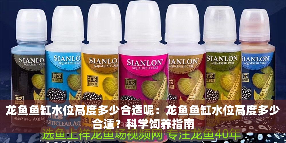 龍魚魚缸水位高度多少合適呢：龍魚魚缸水位高度多少合適？科學飼養指南