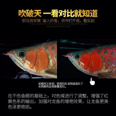 馬印發(fā)色燈和烤色燈哪個(gè)好：馬印發(fā)色燈和烤色燈哪個(gè)好馬印發(fā)色燈和烤色燈哪個(gè)好