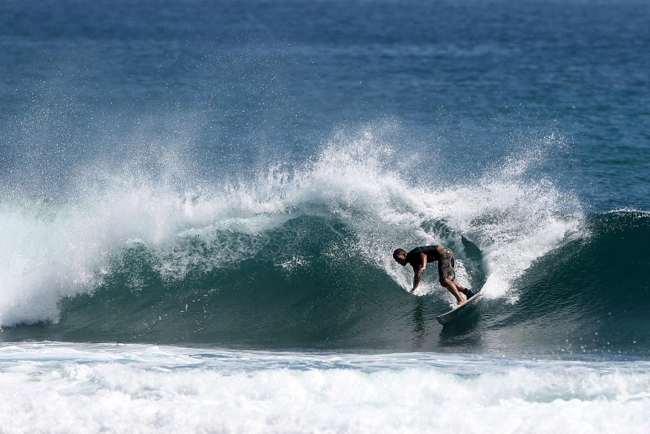 伊春市美溪區(qū)小歪高品質(zhì)水族館
