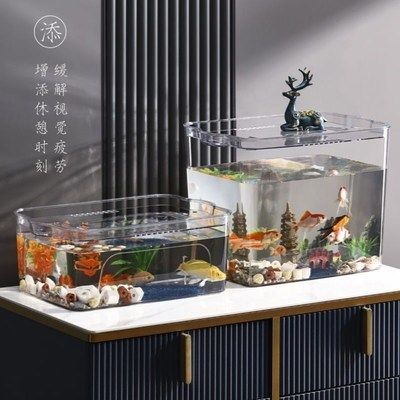 六角恐龍魚水缸怎么布置圖片：六角恐龍魚水缸布置技巧，