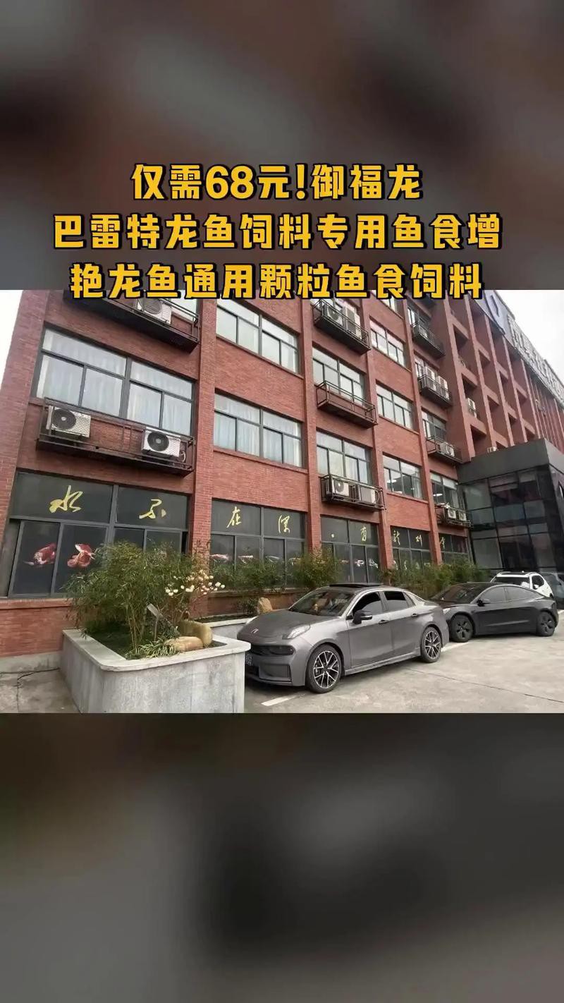 巴中龍魚哪里在買到的