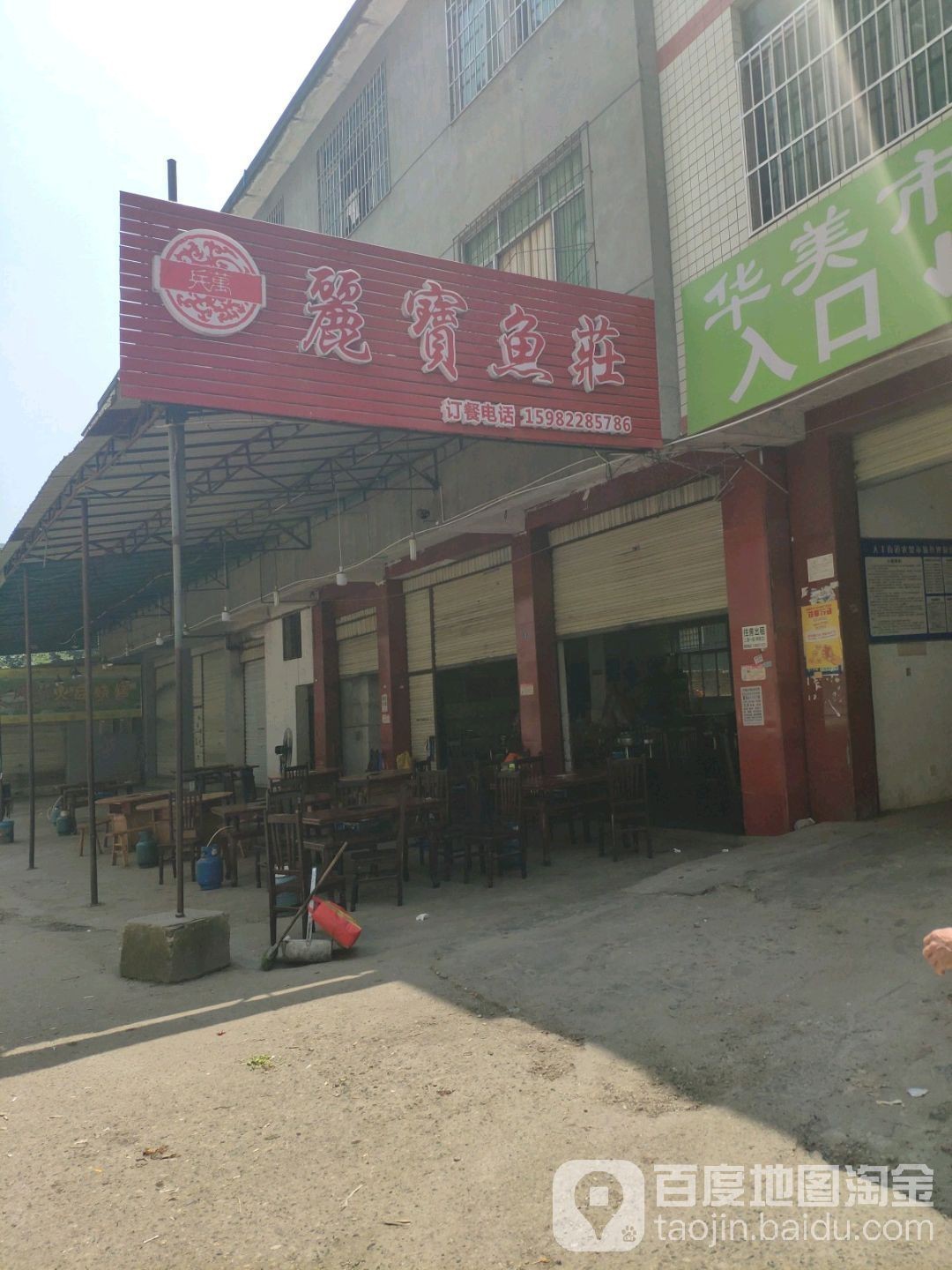 成都龍魚市場怎么樣