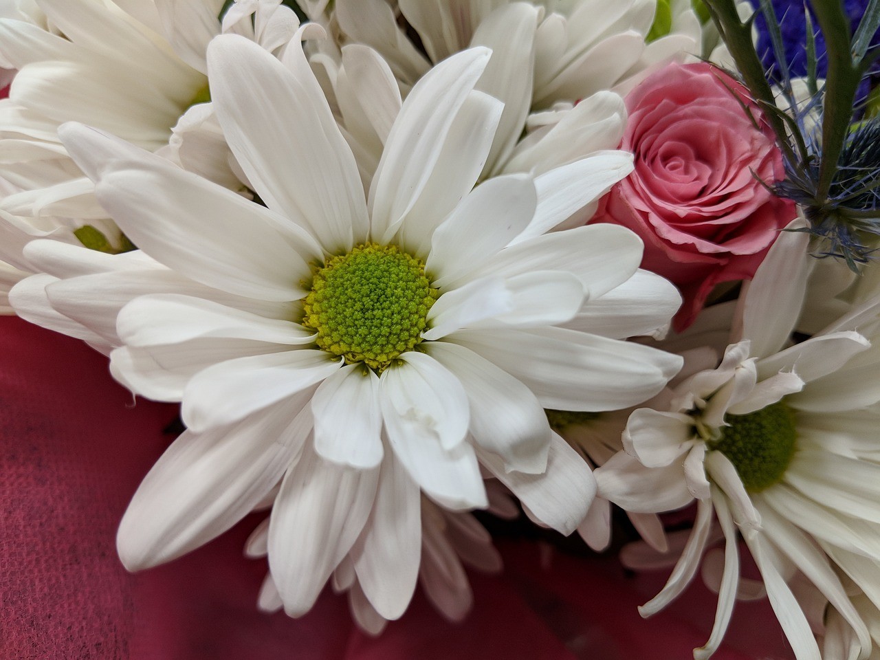 <strong><mark>隆安</mark></strong>縣那桐鎮花語軒鮮花店（<strong><mark>隆安</mark></strong>縣那桐鎮花語軒鮮花店電話號碼）