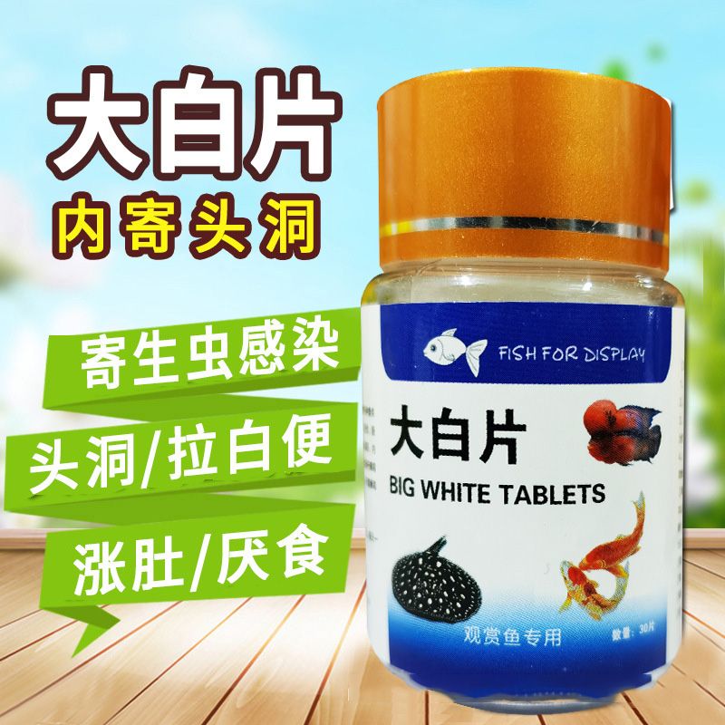 龍魚拉白便是否一定代表腸炎？（龍魚拉白便一定是腸炎嗎）