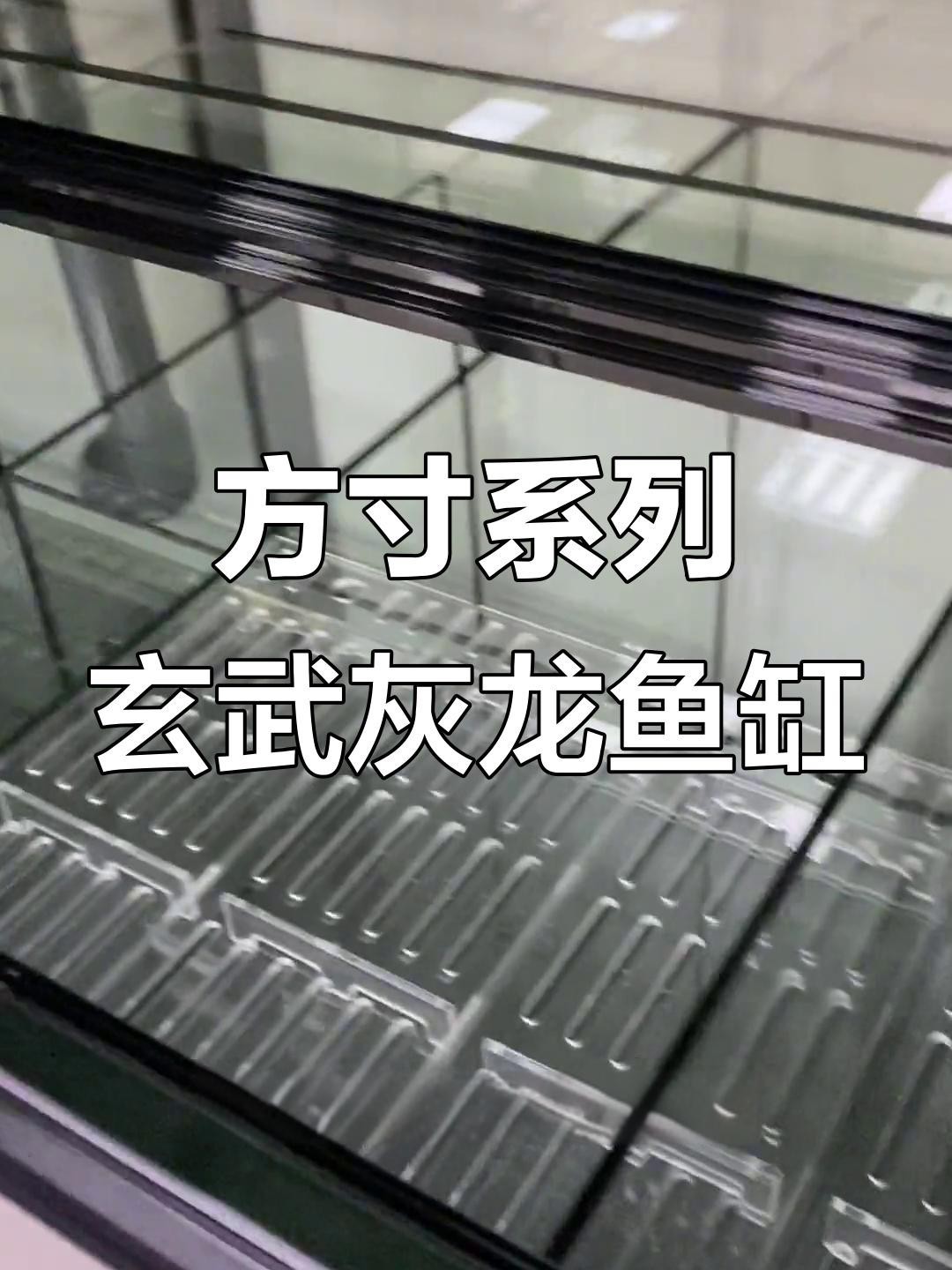 有哪些品牌或款式的龍魚缸推薦？