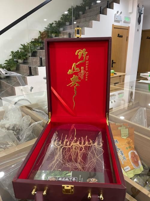 黑龍主題的文創(chuàng)產(chǎn)品有哪些