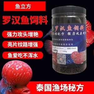 龍魚熱帶魚嗎能吃嗎：龍魚，熱帶魚中的王者
