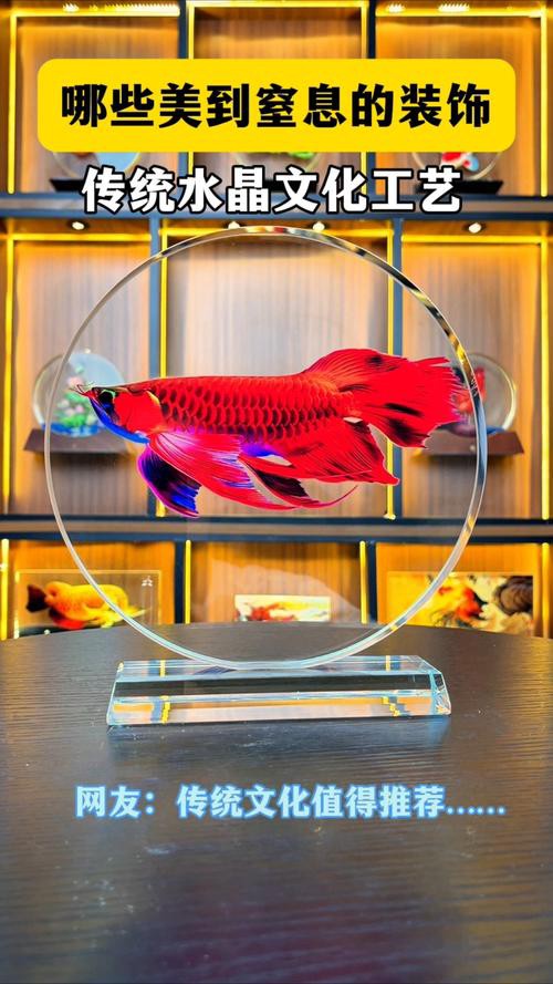 紅龍魚的含義和寓意圖片 龍魚百科 第14張 紅龍魚的含義和寓意圖片 紅龍魚的含義和寓意圖片 龍魚百科 第14張