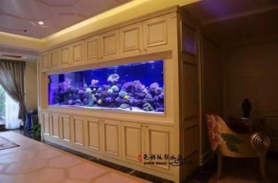 南皮縣藝景水族館（南皮縣藝景水族館電話）