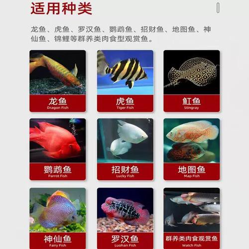 金龍魚飼料多久換一次品牌？