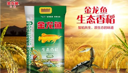 金龍魚生態香稻粳米價格：金龍魚生態香稻粳米價格因促銷活動和購買渠道不同而有所變化