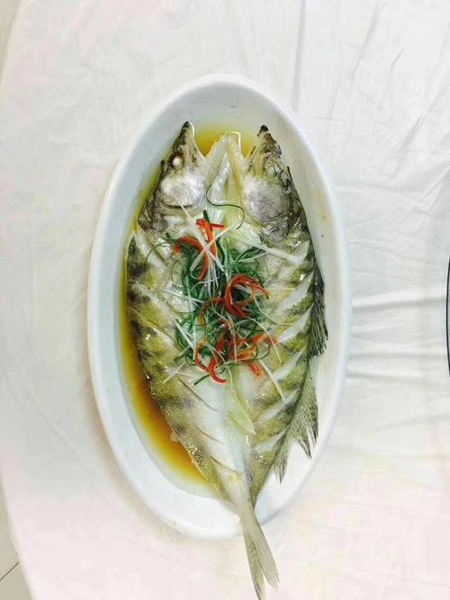 天山龍魚是什么魚圖片大全