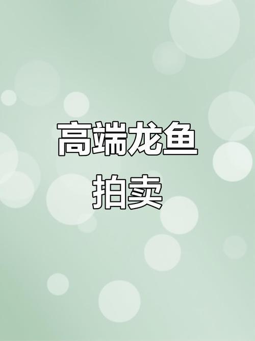 巴中龍魚(yú)哪里在買(mǎi)的到