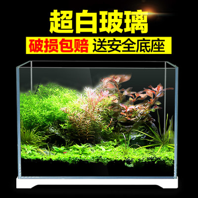平涼市<strong><mark>崆峒</mark></strong>區(qū)龍翔越水族館（平涼市<strong><mark>崆峒</mark></strong>區(qū)龍翔越水族館地址）