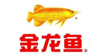 金龍魚安全嗎：金龍魚在產(chǎn)品質(zhì)量與安全、生產(chǎn)過程透明化以及對抗網(wǎng)絡(luò)謠言的泛濫