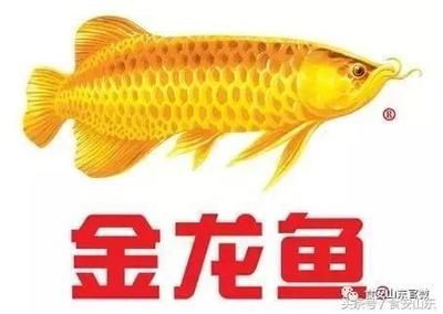 金龍魚安全嗎：金龍魚在產(chǎn)品質(zhì)量與安全、生產(chǎn)過程透明化以及對抗網(wǎng)絡(luò)謠言的泛濫