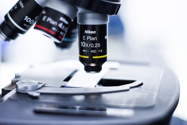 <strong><mark>咸安</mark></strong>區(qū)名洋水族（咸陽水族）