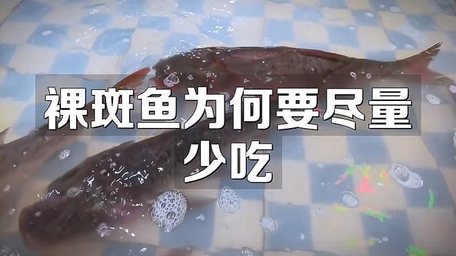 裸斑魚哪個部位有毒
