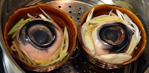 龍魚眼組織充血（龍魚眼組織充血怎么辦）