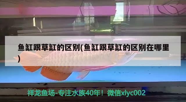 廣州市荔灣區歡躍水族店