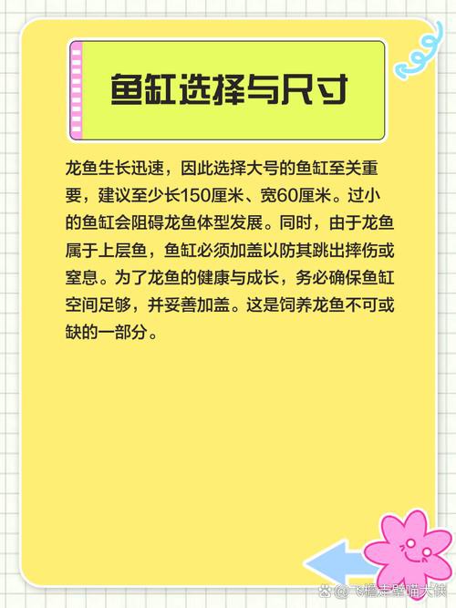 養(yǎng)龍魚一般養(yǎng)幾條