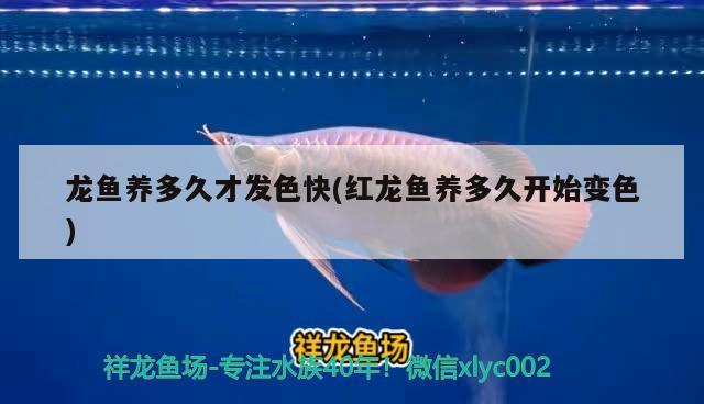 合浦縣嘉榕城觀賞魚(yú)經(jīng)營(yíng)店